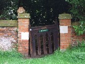 churchyard cat
