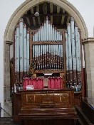 organ