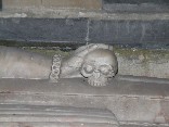 my pet skull