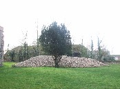 collapsed tower