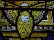 cherub