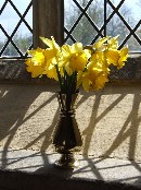 daffs