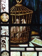 two doves