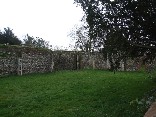 George Drury's vegetable garden