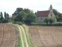 in the fields