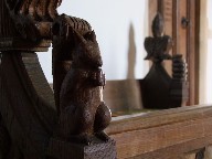 squirrel