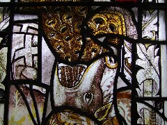 fragment: dog eating a peacock