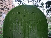 Ann Knott