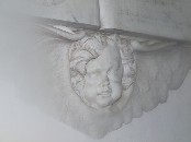cherub