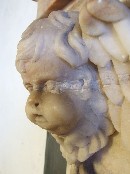 cherub