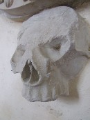 skull