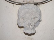 skull