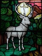 St Hubert's stag