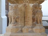 lions