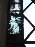 hare