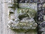 lichened lion