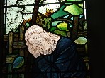 sleeping shepherd