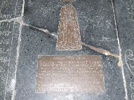 Cecilia Freston
