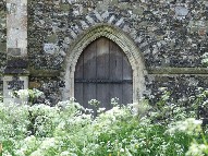 Mary's lace