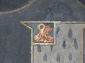 pelican