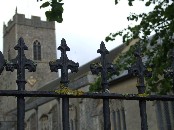 lichen
