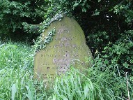 Elizabeth Martha