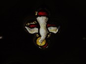 a dove descends
