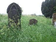 Otley graveyard