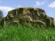 skull