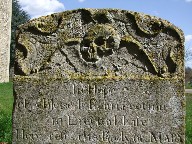 skull