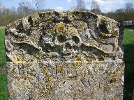 skull