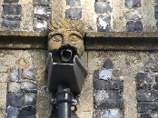 gargoyle