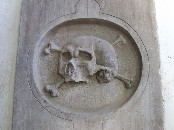 skull and crossed bones