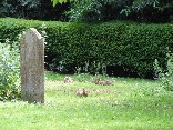 graveyard