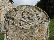 skull and crossed bones