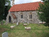 Sotherton Sheep