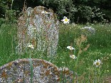 Spring 2007