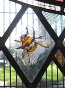 bee
