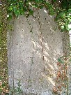 Munro Cautley's grave