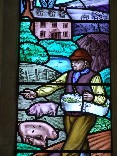 sowing