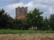 Tattingstone Wonder