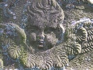 cherub