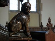 dog