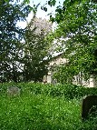 beautiful graveyard
