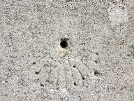 mass dial