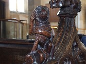 ape in a monk's cowl