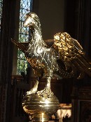 golden eagle
