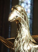 golden eagle