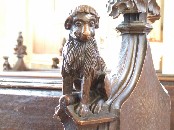 lion