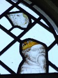 baleful regard